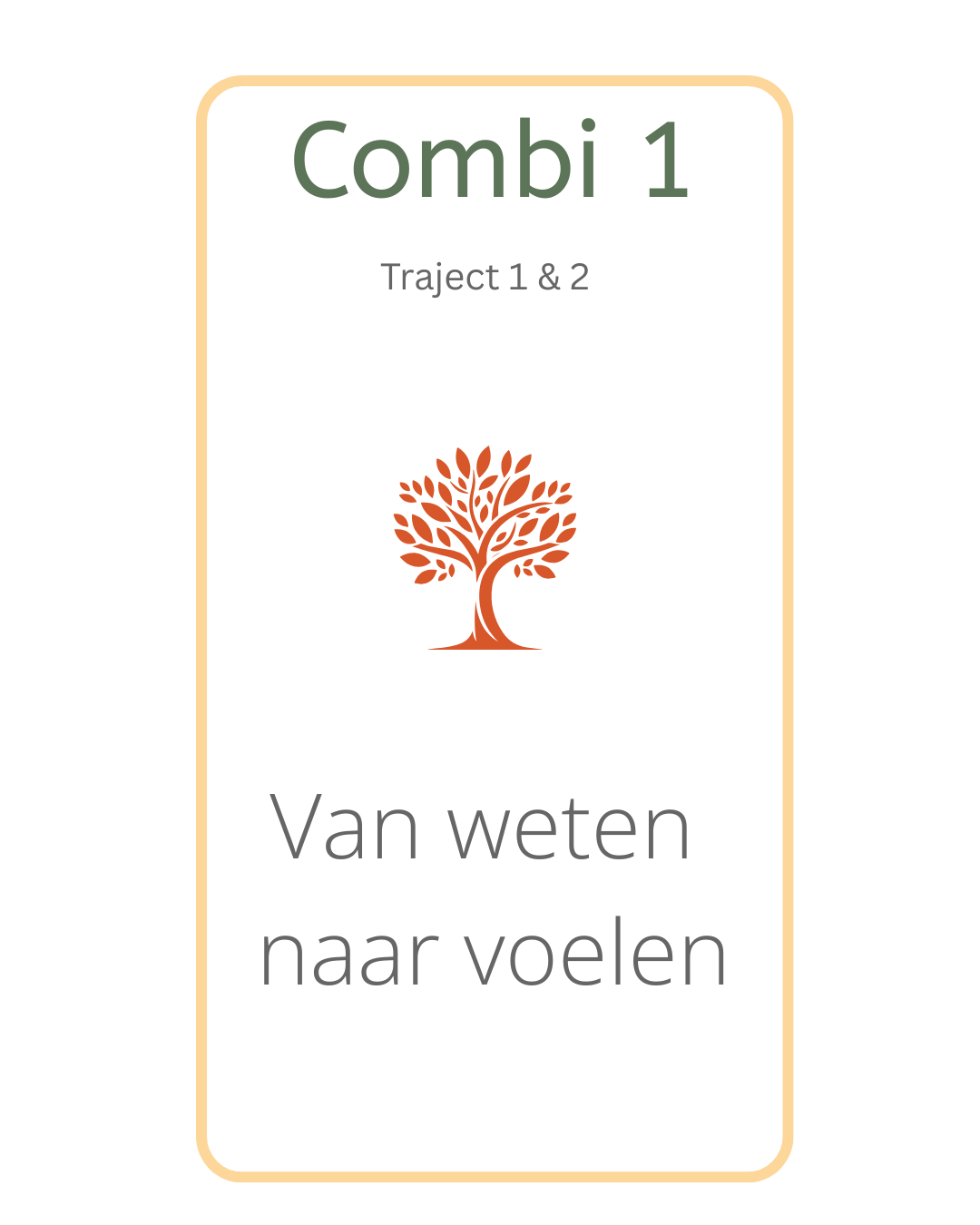 Combideal 1 - van weten naar voelen