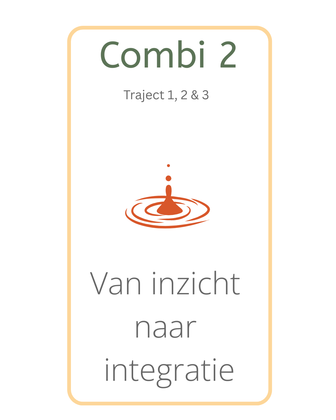 Combideal 2 - van inzicht naar integratie