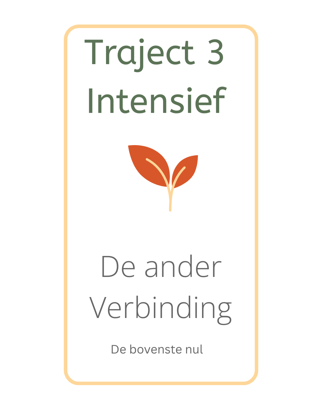 Traject 3 - Intensief
